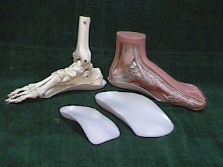 Foot Model & Orthotics
